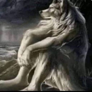 Meet your Posher, Gabriel